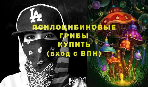 МДПВ Новодвинск