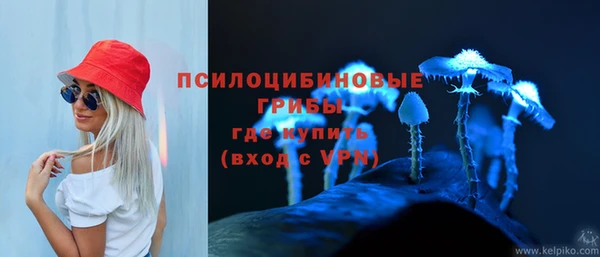 альфа пвп Новозыбков