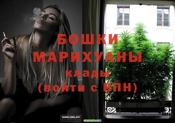 PSILOCYBIN Новокубанск