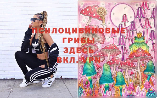 МДПВ Новодвинск
