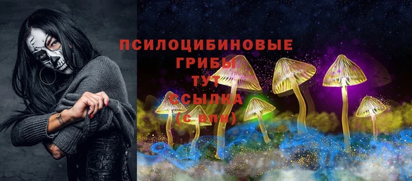 PSILOCYBIN Новокубанск