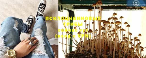 альфа пвп Новозыбков