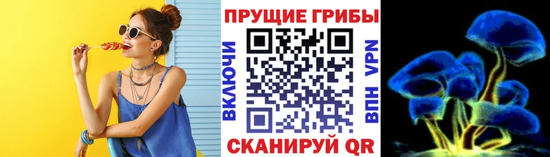 Псилоцибиновые грибы Psilocybine cubensis Купить закладки Спасск-Рязанский